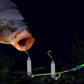 🎣⚡ Dubbele haak omgekeerde bodemmontage! De verbeterde versie verhoogt het aantal aansluitingen met 50%: zeg vaarwel tegen vastlopen! 🎣