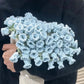 🔥HETE VERKOOP 49% KORTING🔥Rose Bouquet Blanket Crochet Tool Kit🎁Moederdagcadeau