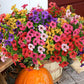 💥Verbeterd hoogwaardig materiaal 🌱UV-bestendige Levensechte Kunstmatige Bloemen💐