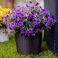 💥Verbeterd hoogwaardig materiaal 🌱UV-bestendige Levensechte Kunstmatige Bloemen💐