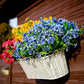 💥Verbeterd hoogwaardig materiaal 🌱UV-bestendige Levensechte Kunstmatige Bloemen💐
