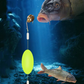 🎣⚡ Dubbele haak omgekeerde bodemmontage! De verbeterde versie verhoogt het aantal aansluitingen met 50%: zeg vaarwel tegen vastlopen! 🎣